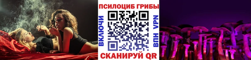 Псилоцибиновые грибы мицелий  купить наркоту  МЕГА tor  Владимир 